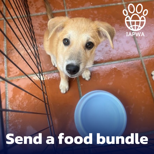 Send a Food Bundle to Feed a Hungry Dog or Cat