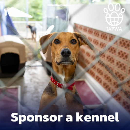 Sponsor an IAPWA Kennel for One Year