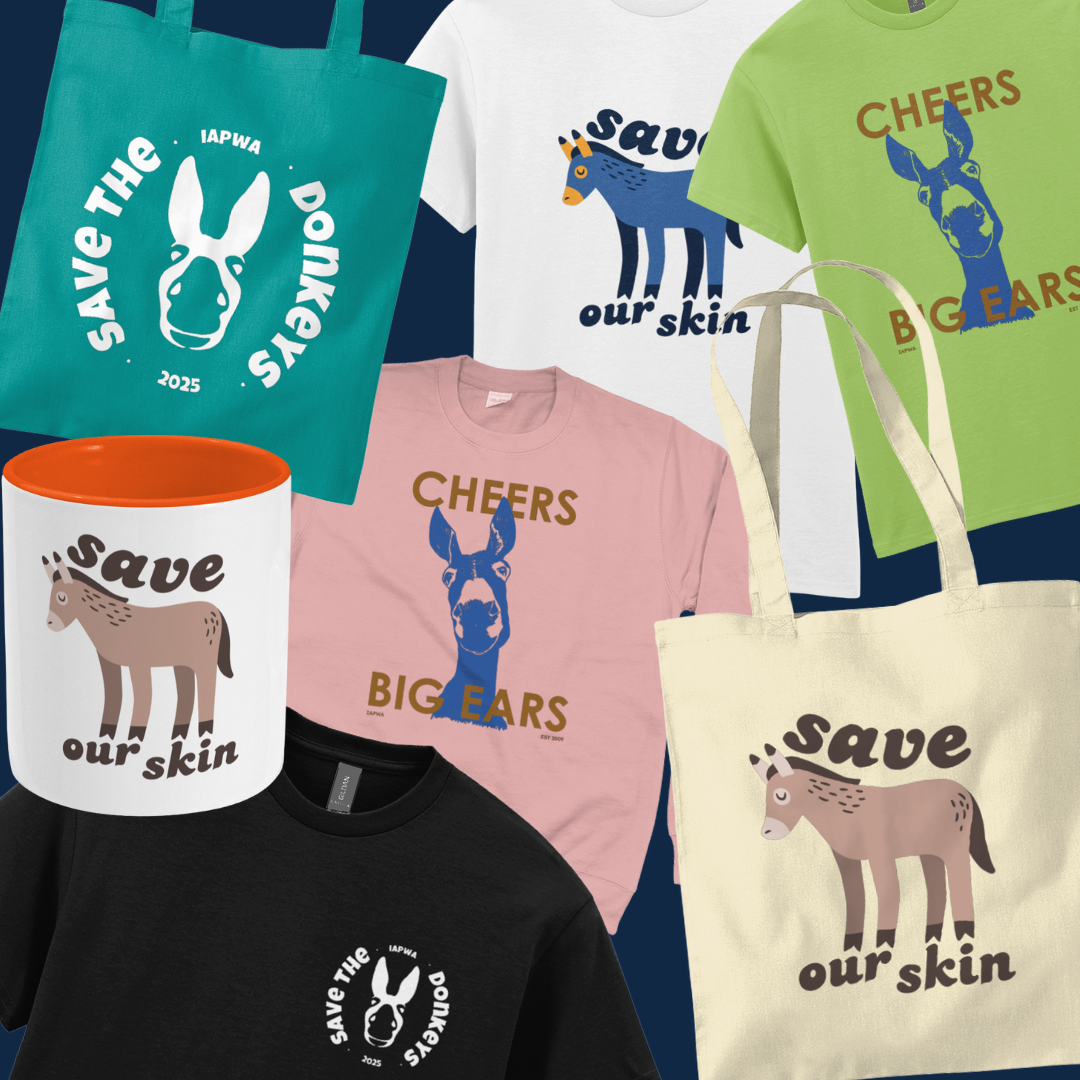Save the Donkeys