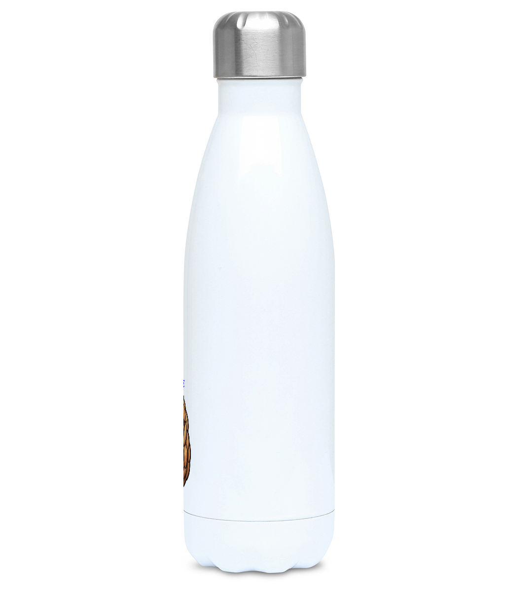 “Hold Onto Hope” by Ryan McCulloch - Charity design - 500ml Stainless steel water bottle | Support Pangolin Conservation