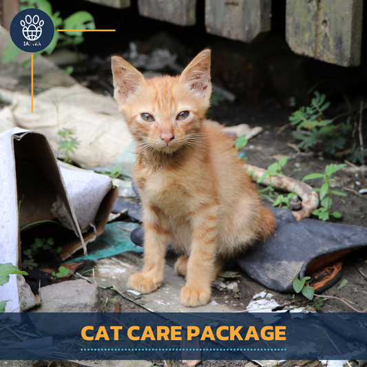 Care Package: Feline