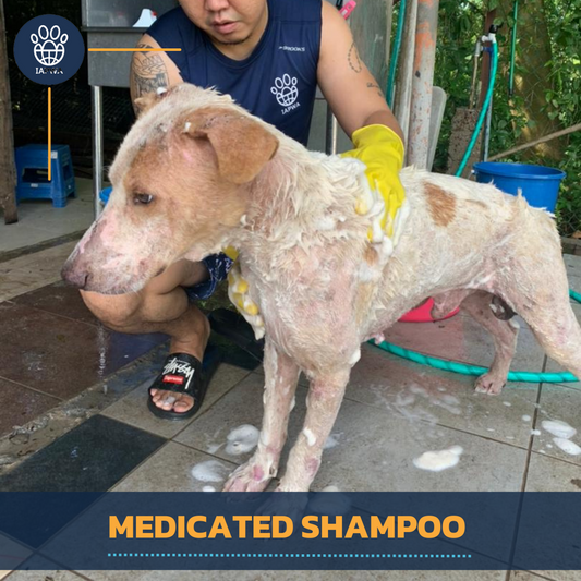 Medicated Shampoo