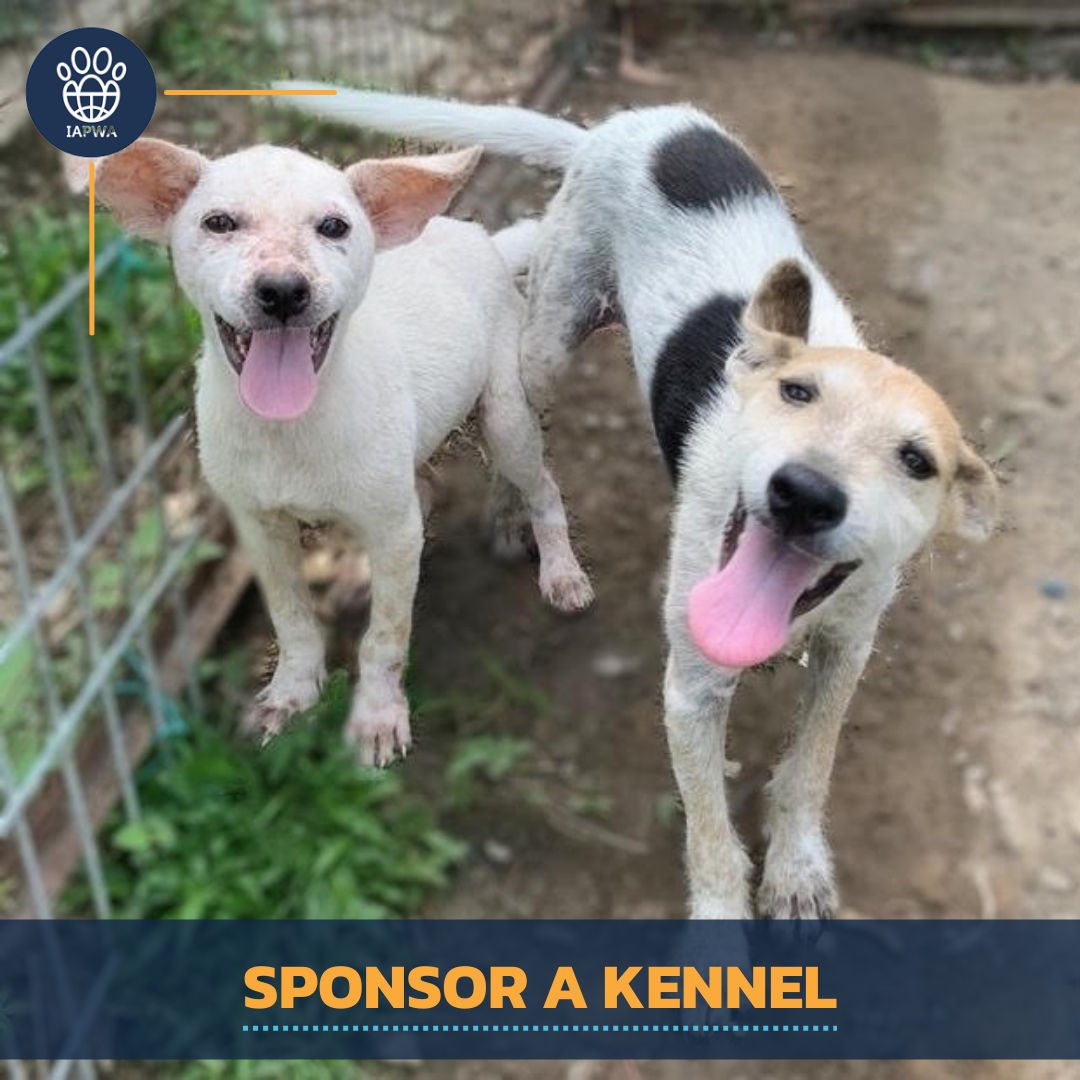 Sponsor an IAPWA Kennel for One Year